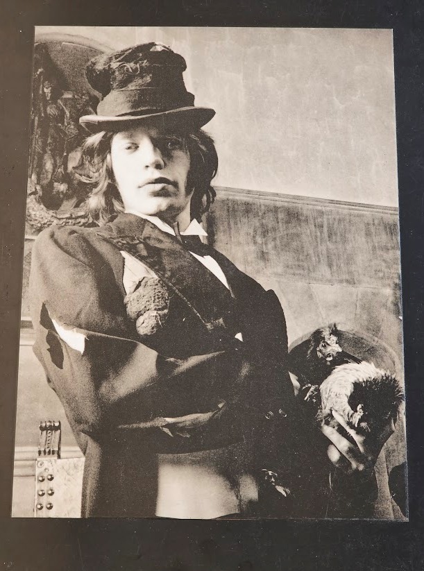 Portrait de Mick Jagger avec une poule sous son bras - tirage ayant été plastifié et signé par Michael Joseph