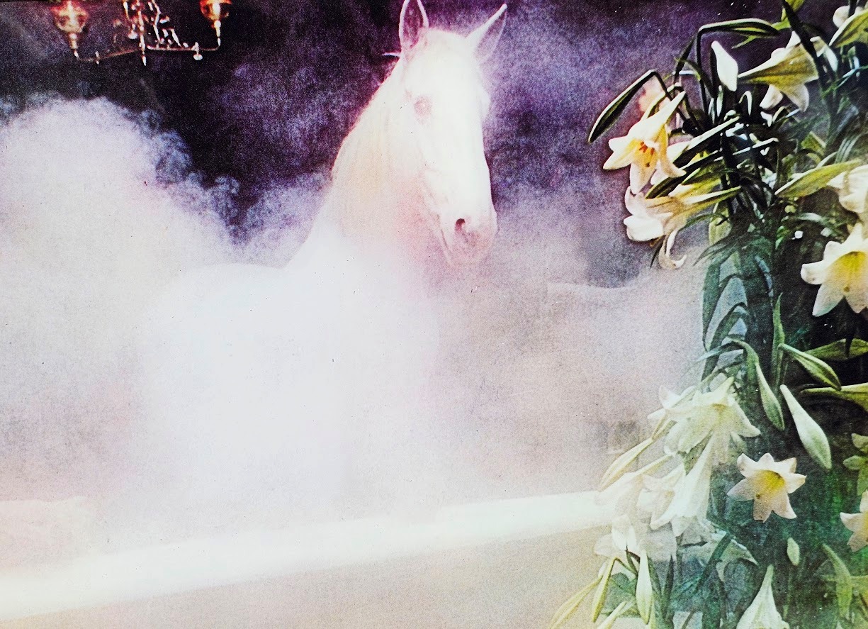 White Horse whisky you can take a white horse anywhere, advertisement from the seventies, girl in bath in colour by Michael Joseph