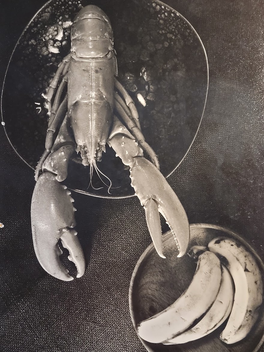Un homard et trois bananes (tirage authentique noir et blanc réalisé en chambre noire) par Michael Joseph