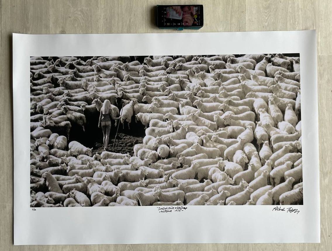 Bergère nue dans troupeau de moutons (publicité pour la laine IWF, années 70) – Tirage unique grand format noir et blanc, signé, par Michael Joseph