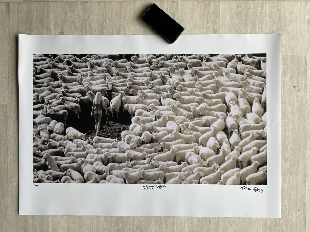 Bergère nue dans troupeau de moutons (publicité pour la laine IWF, années 70) – Tirage unique grand format noir et blanc, signé, par Michael Joseph