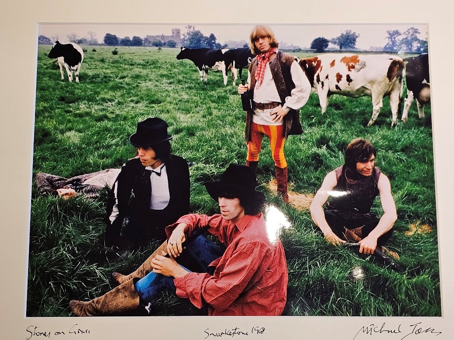 Rolling Stones and Cows in the grass at Swarkestone, June 1968, Mick Jagger and colleagues relaxing by Michael Joseph