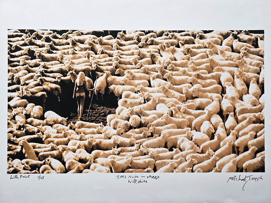 Nude model surrounded by sheep, sepia tone on matt paper by Michael Joseph