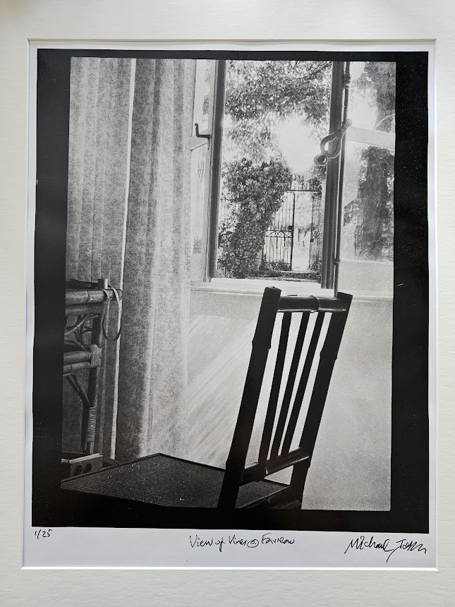 Favreau chair, with view through window of vines beyond, by Michael P Joseph