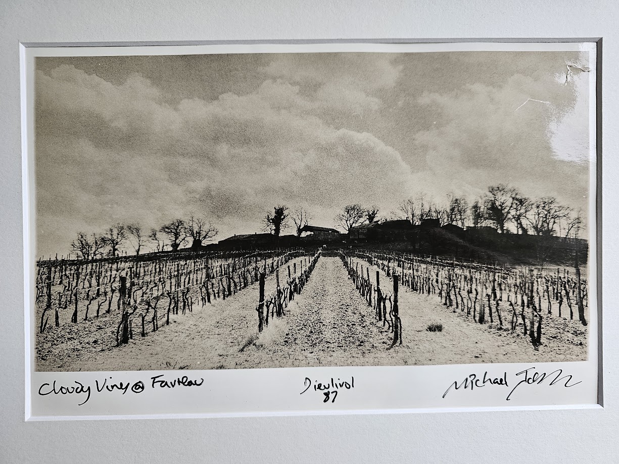 Vignes dans le brouillard, l'hiver dans l'Entre-Deux-Mers, viticulture girondine toute l'année par Michael Joseph