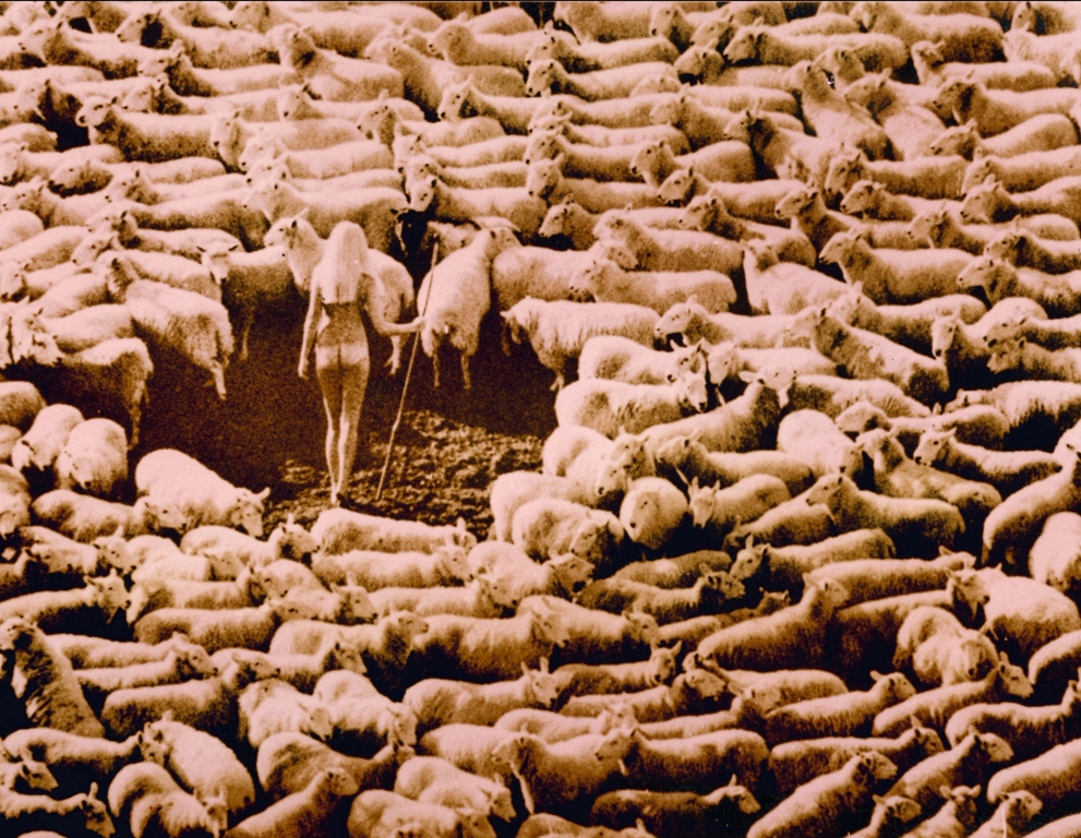 Magnet Bergère nue dans les moutons, Aimant girl in sheep teinte rose, photo par Michael Joseph