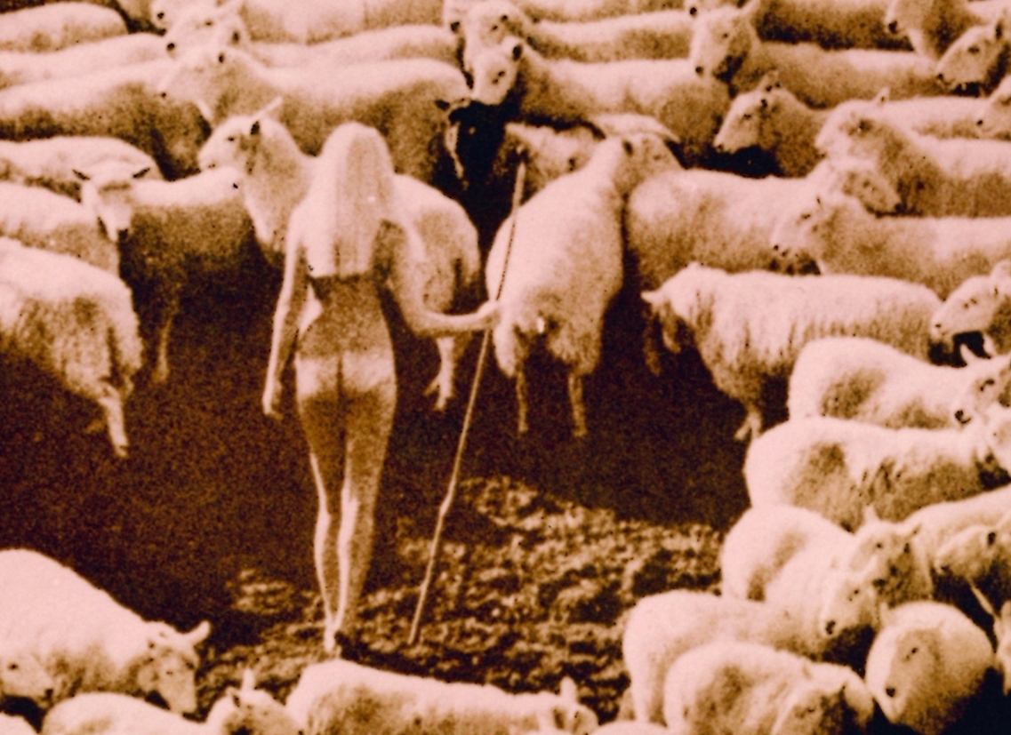 Magnet Bergère nue dans les moutons, Aimant girl in sheep teinte rose, photo par Michael Joseph