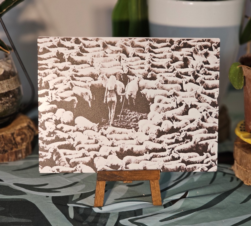 Woman in Wool, slightly warm-toned edition – matte finish – print on aluminium