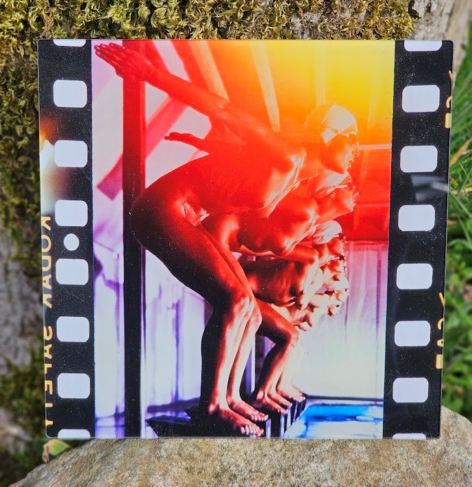 Multicolour ready to dive - pool ladies, photo on acrylic, square format