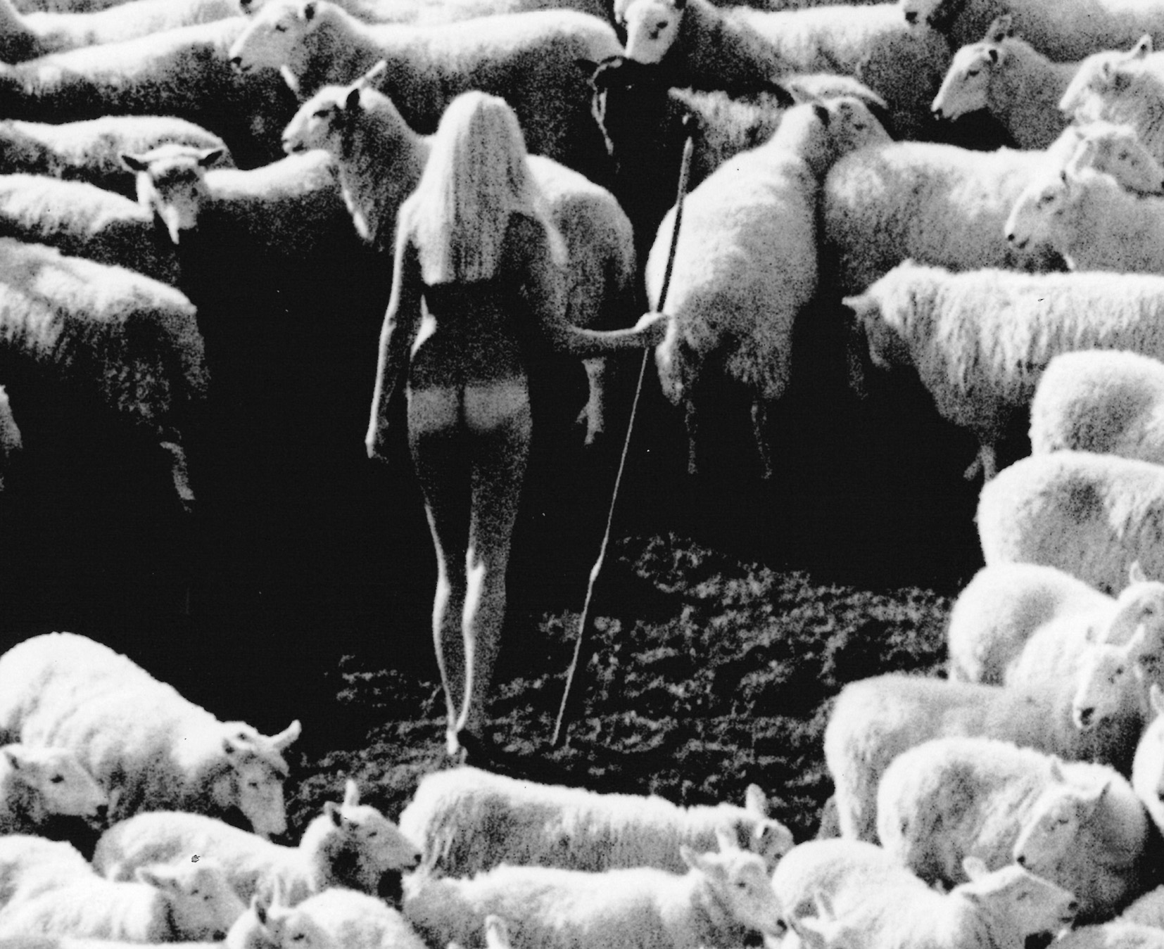 Bergère nue dans troupeau de moutons (publicité pour la laine IWF, années 70) – affiche en noir et blanc, photo par Michael Joseph