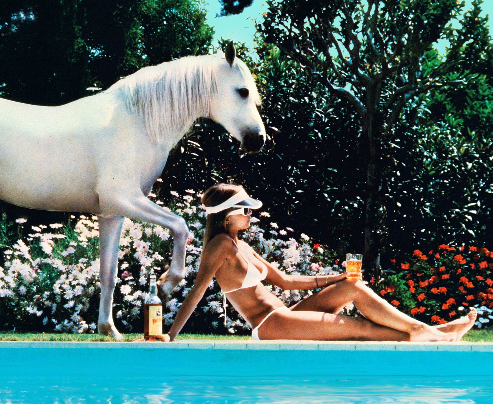 Fille au bord du bassin avec cheval blanc présent, publicité Whisky White Horse, des années soixante-dix par Michael Joseph